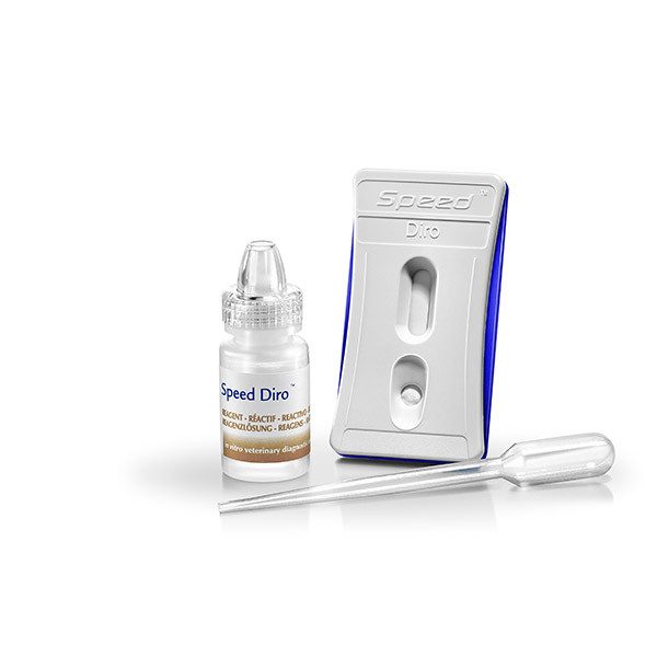 Speed®Diro